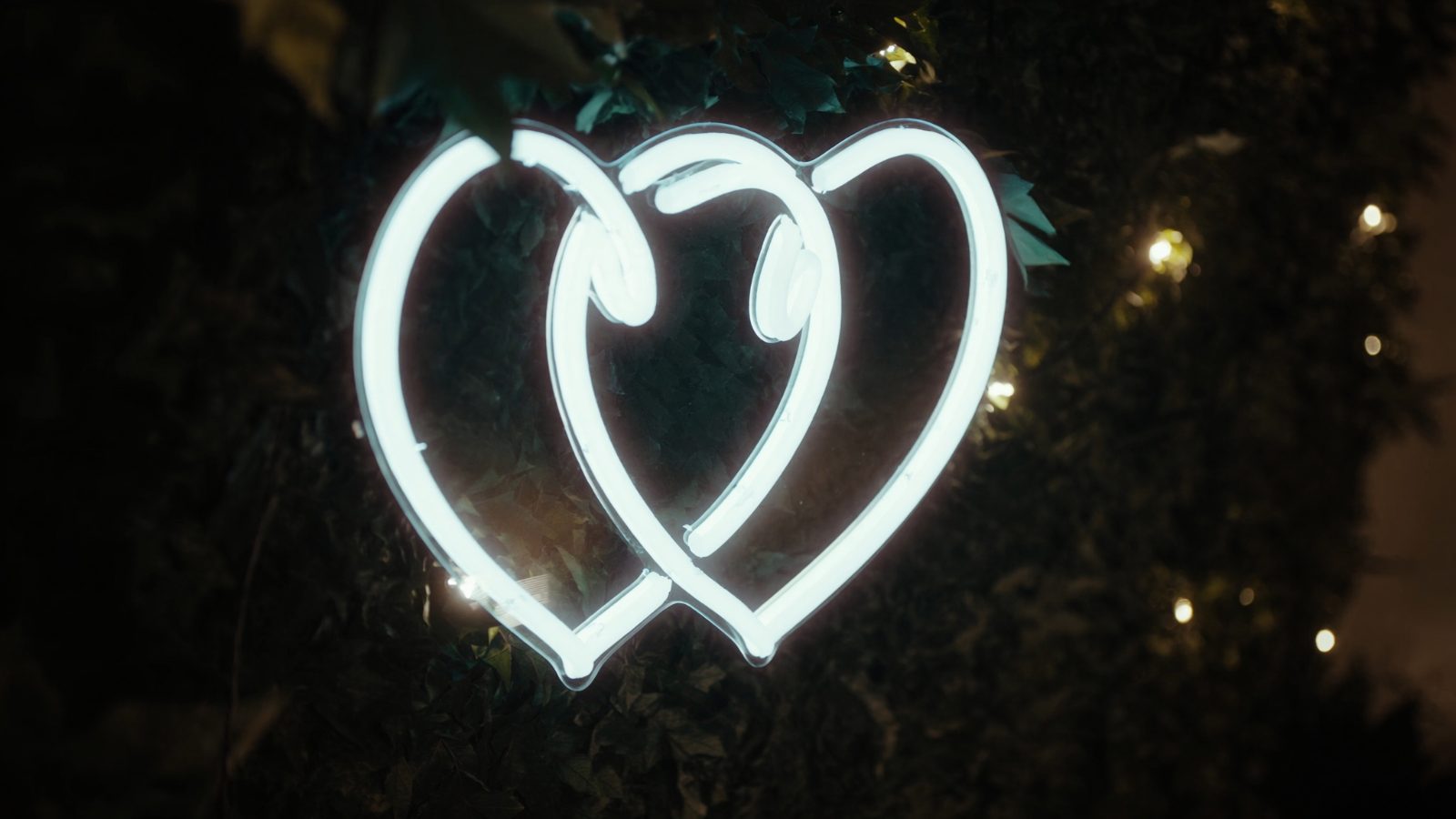 Neon weselny, świecący ledon na ściance z zieleni podczas przyjęcia